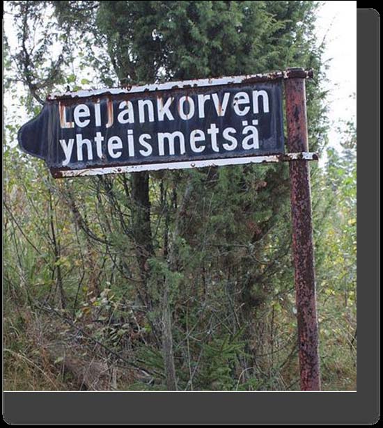 Yleistyvät yhteismetsät metsien käytön kannalta Harri