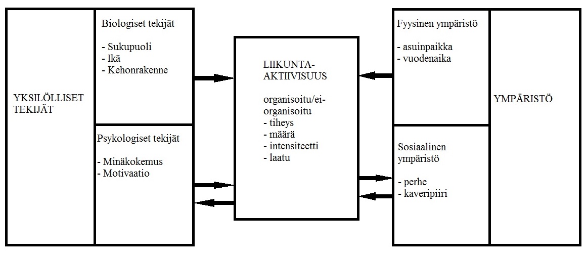 28 5 FYYSINEN AKTIIVISUUS JA SIIHEN VAIKUTTAVAT TEKIJÄT Fyysiseen aktiivisuuteen vaikuttavat tekijät voidaan jakaa kuvion 5 mukaisesti. (Laakso ym.