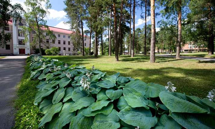 Hospitaali 19 Kiitos Lämpimät kiitokset minua muistaneille jäädessäni eläkkeelle! Pirjo Sinokki Lämpimät kiitokset kaikille työtovereille yhteisistä työvuosista ja muistamisista eläkeaikani alkaessa!