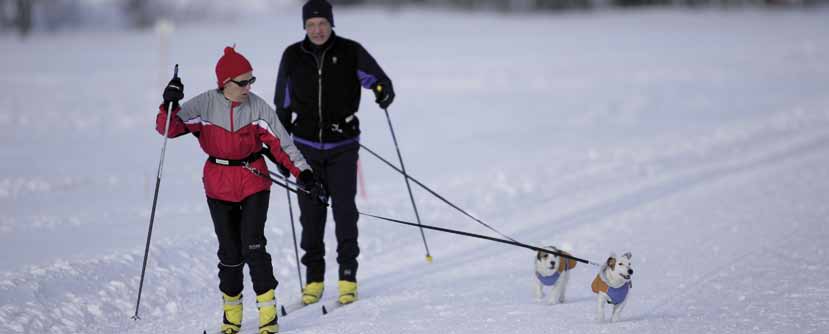 Ulkoilureitille perustettua, yleiseen tai yksityiseen käyttöön tarkoitettua latua ei saa rikkoa eikä sen käyttöä haitata. Useimmiten hiihtolatuja pidetään yllä latukoneella tai moottorikelkalla.