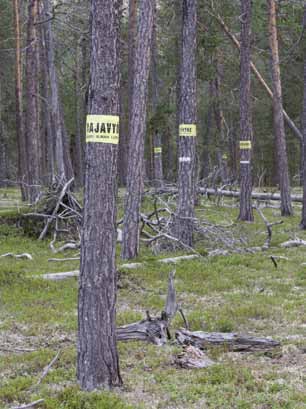 11 Rajavyöhyke Rajavyöhykkeellä oleskelu ja toimiminen on luvanvaraista. Maaraja Suomen ja Venäjän rajalla on rajaturvallisuuden ylläpitämiseksi ja rajajärjestyksen valvomiseksi rajavyöhyke.