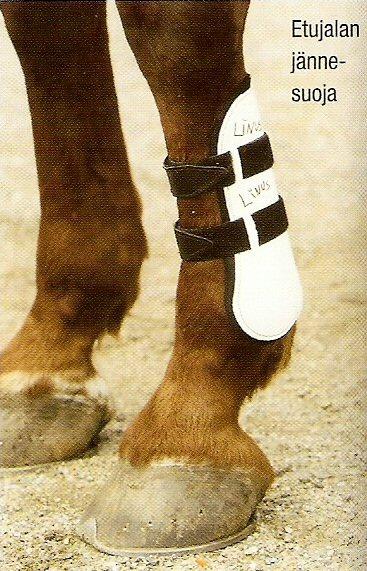 10 Suojat: Nahkaisia ja synteettisiä suojia käytetään pinteleiden tavoin suojaamaan ja tukemaan hevosen jalkoja kuormitukselta ja kolhuilta esimerkiksi ratsastuksen tai ajon aikana.
