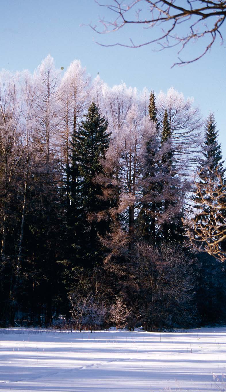 Solutasolla tapahtuu Päivän valoisan ajan lyheneminen on selkeä merkki, joka toistuu vuosi vuoden jälkeen samassa tahdissa.