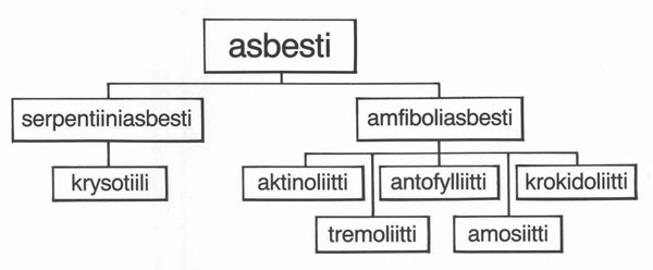 Mitä on asbesti? Asbesti on luonnosta saatava kuitumainen silikaattimineraali. Suomessa louhittiin antofylliittiasbestia Tuusniemen Paakkilassa vuoteen 1975 saakka.