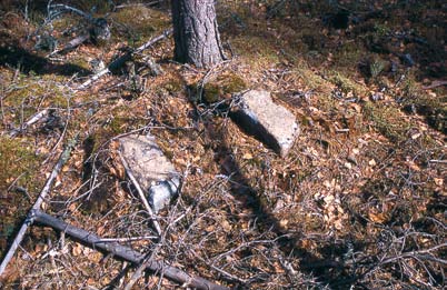 Suojelu: Vanhat uskomuksellisissa tarkoituksissa tehdyt hakkaukset kuten vainajien karsikot, historiallisia henkilöitä ja tapahtumia koskevat hakkaukset sekä laajat ja pitkäaikaiset hakkausalueet