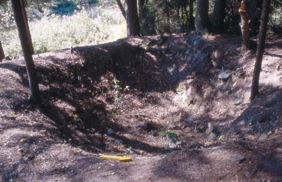 suojeltavia ympäristöarvoja. Kalastustukikohdat Historia: Saaristossa ja järvien rannoilla sijaitsi kalastajien kausiluonteisesti käyttämiä kalastustukikohtia, joissa saattoi olla mm.