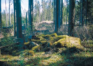 maaperän ravinteet nopeasti, joten viljeltävää paikkaa piti vaihtaa usein.