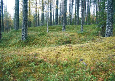 Talonpoikaisen raudanvalmistuksen kukoistuskautta kesti Savossa ja Karjalassa 1500-luvulta 1700-luvulle.