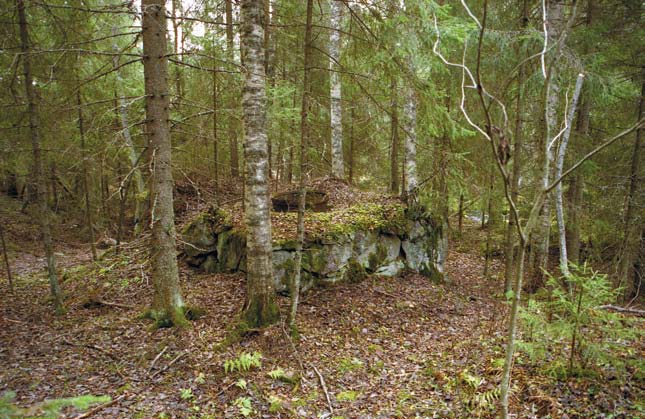 Lammin Evon Savijärven tervatehtaan tislausretortti kattiloineen. Kuva Panu Nykänen. 1890-luvulla Pohjois-Suomen tervantuotantoalueilla rakennettiin kymmeniä ns.