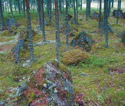 Toisen maailmansodan aikainen puurakenteinen linnoite Suomussalmella. Kuva Marianna Niukkanen,