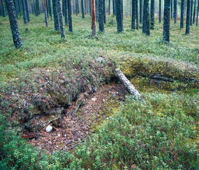 Toiseen maailmansotaan liittyvät jäännökset Historia: Itsenäisen Suomen ensimmäinen linnoitustyö oli Mannerheim-linjan rakentaminen Kannakselle 1920-luvulla.