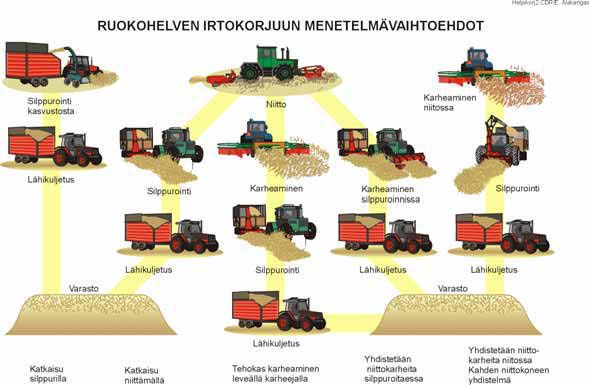 lupaavimpien uusien lajikkeiden sato on ollut yli 10 tonnia kuiva-ainetta/ha. Ruokohelpiä viljellään noin 1000 hehtaarin alalla ja sitä on kokeiltu seospolttoaineena yleensä turpeen kanssa.