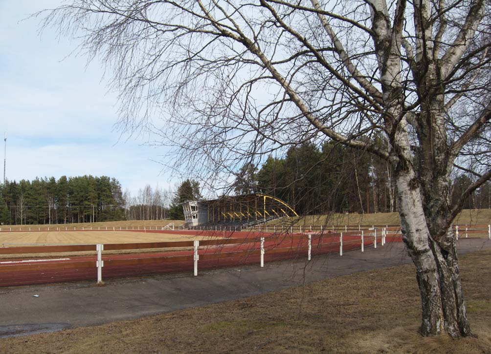 rakentamisen myötä viheralueiden määrä kasvaa etenkin Plassin Lepistönperän suunnalla.