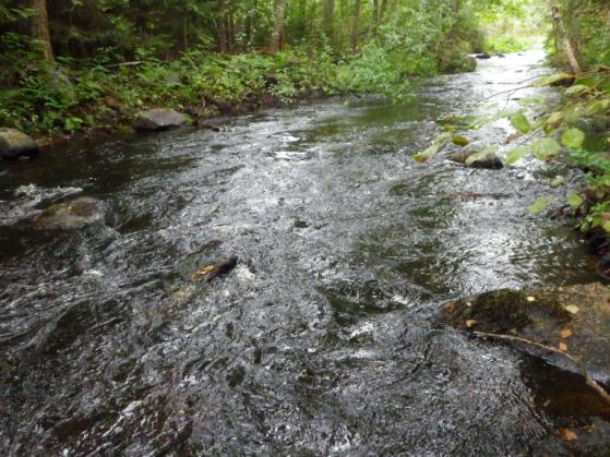 Koekalastajia oli kaksi (Matti Havumäki ja Timo Meronen), joten haavimiehiä oli vain yksi. Saaliskalojen ikäjakauma (0+, 1+ tai >2) on määritelty yksilöiden pituuksista ilman suomunäytteitä.