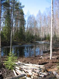 Allasalueen sopivuus ja luontoarvot, maisemalliset vaikutukset, valumat ja virtaamat sekä valuma-alueen ja altaan maalajit ovat lähtötietoja allassuunnitelmassa, jossa kuvataan myös altaan