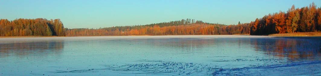 5.5. Muita selvityksiä