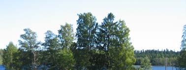 6. Hankeorganisaatio JÄRKI-hankkeen vetäjänä toimi Hämeenlinnan seudullinen ympäristötoimi (1.7.2005 alkaen ja sitä ennen 1.5.2002-30.6.2005 Hämeenlinnan seudun kansanterveystyön kuntayhtymän ympäristöosasto), jossa hankkeesta vastaavana toimi projektipäällikkö Heli Jutila.