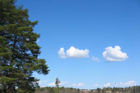 Rakennettuja altaita tullaa seuraamaan ja hoitamaan suunnitelmien mukaan.