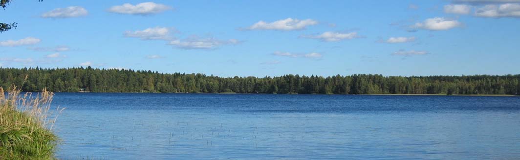 1. Projekti pähkinänkuoressa Projektin nimi: Kanta-Hämeen järvet kestävään kehitykseen eli JÄRKI-hanke Projektinumero: CC320546 Projektin hallinnoija: Hämeenlinnan seudullinen ympäristötoimi, PL 63,