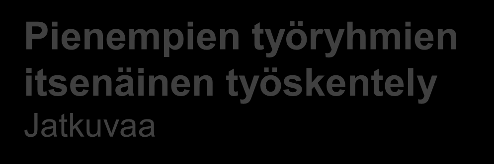 Fasilitointi & koordinointi Yhteistyötä useilla eri tasoilla Koko hankkeen yhteisseminaarit 1-2 krt / vuosi