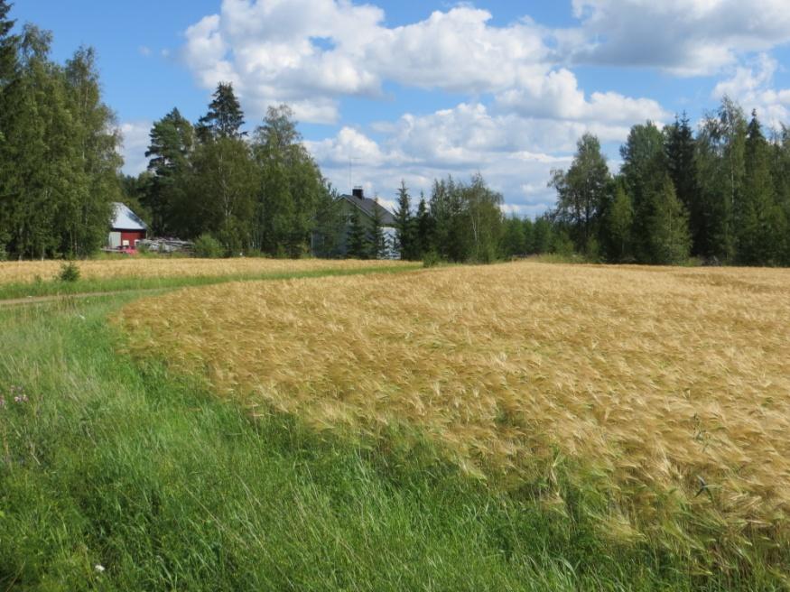 suus alueen rajoitusten sanelemissa puitteissa sekä varasto- ja kuljetustoimialojen yritykset. Kuva 12. Urjalan yritysalueet Kuva 11.