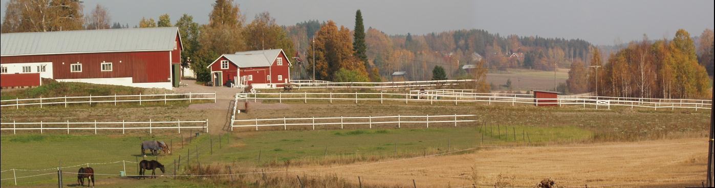 Ideoita hevosyrityksen palvelujen