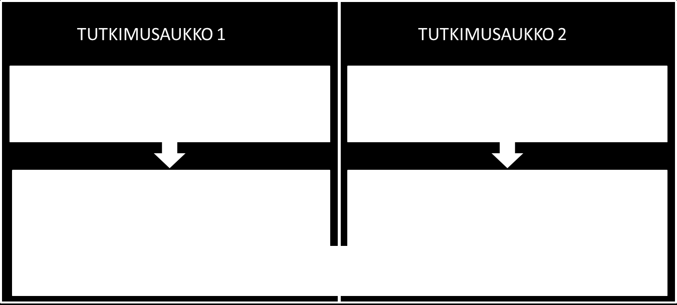 1996; Kesting & Ulhøi 2010) ja haasteita (esim. Smith & Fischbacher 2000; Nambisan 2002; Pedrosa 2009).