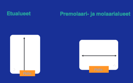 Kilpirauhanen suojataan kaulurilla 5. Röntgenputki tuodaan lähelle päätä 6.