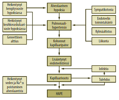 Vuoristotautiin