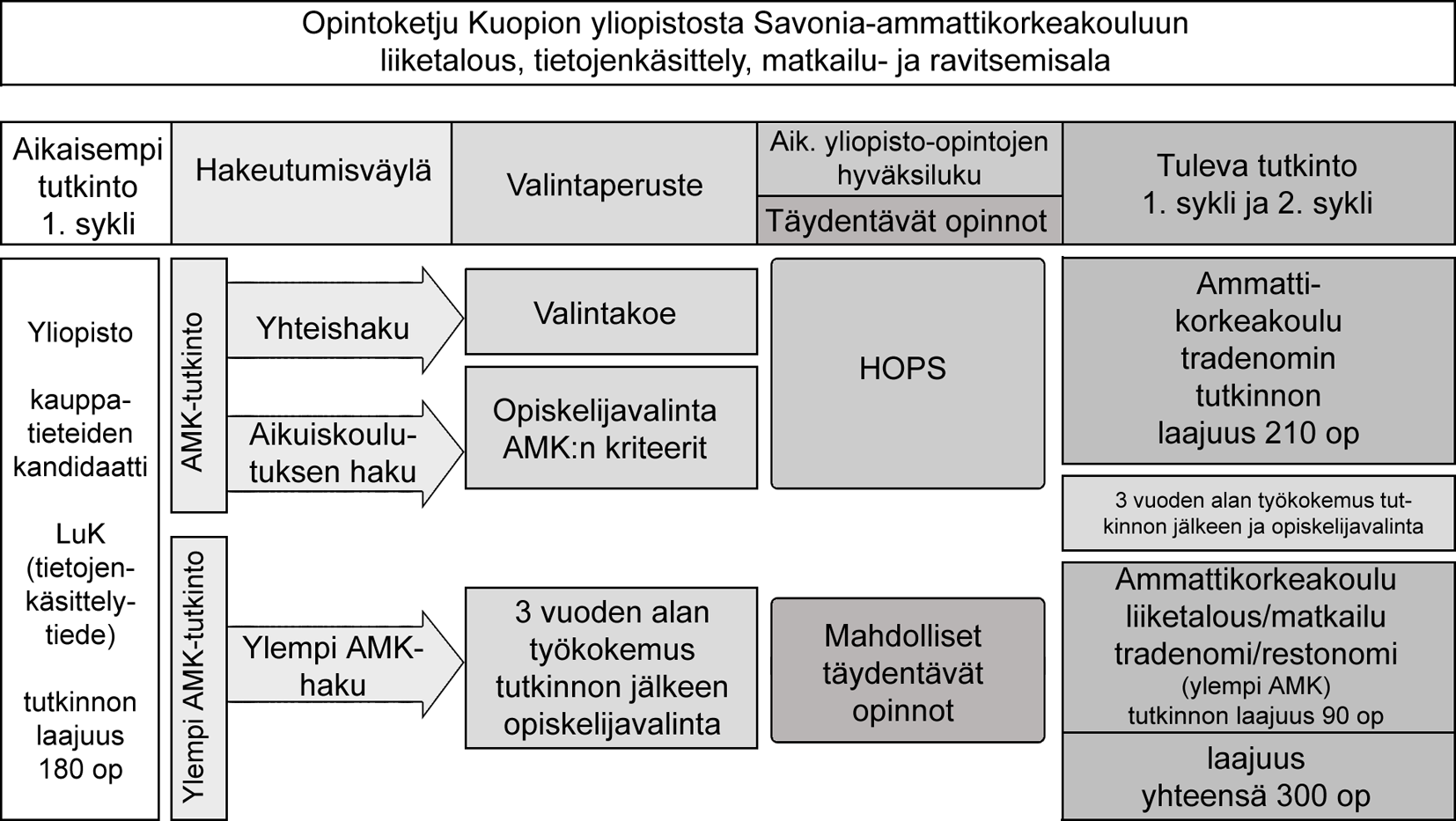 Kuva 3.4 Opintoketju Kuopion yliopistosta Savonia-ammattikorkeakouluun liiketalouden alalle. 3.1.