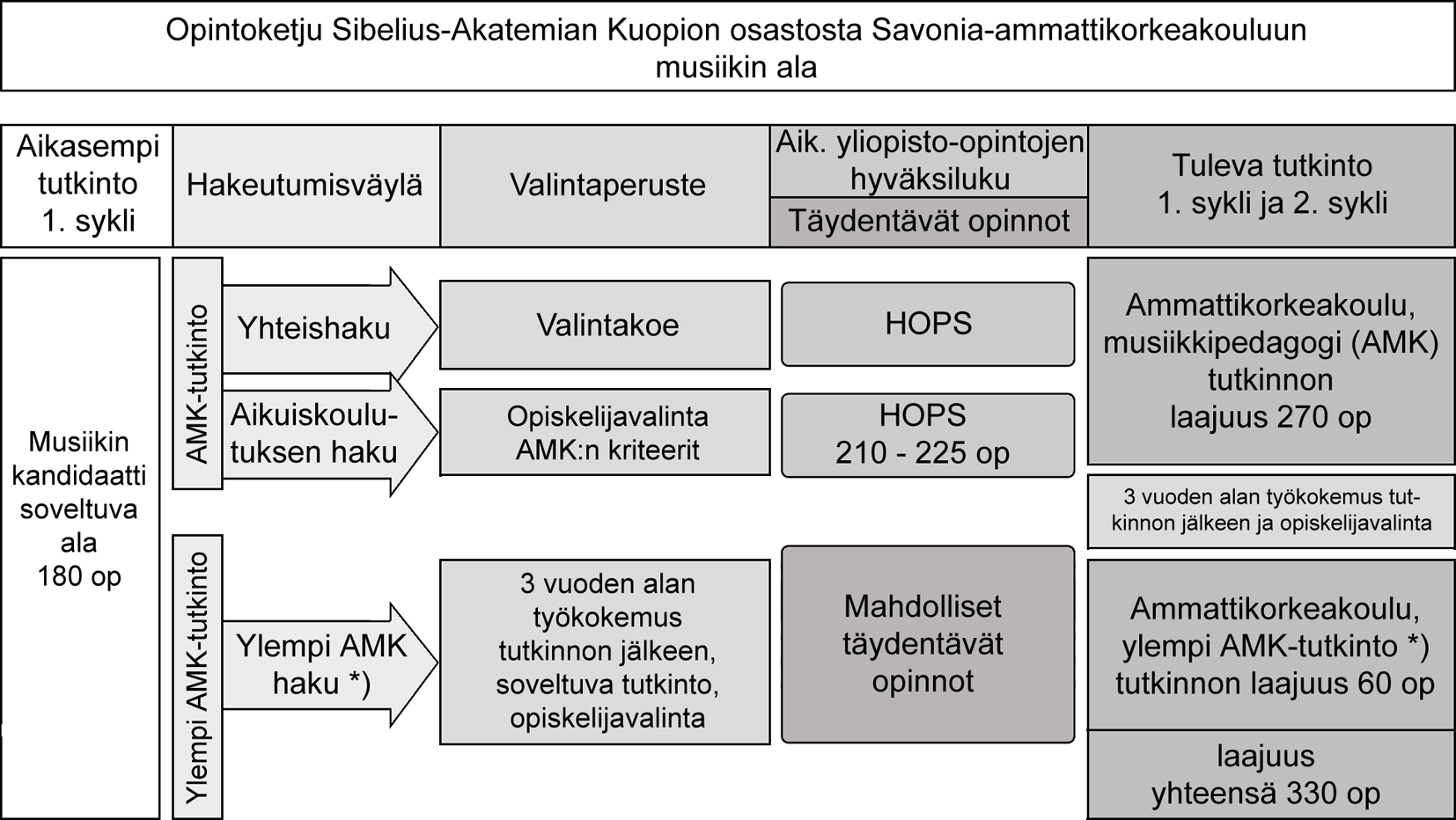 kija tarvitsee merkittäviä kirkkomusiikin täydentäviä opintoja. Sen sijaan opiskelijalla on kelpoisuus taidehallinnon maisteriohjelmaan.