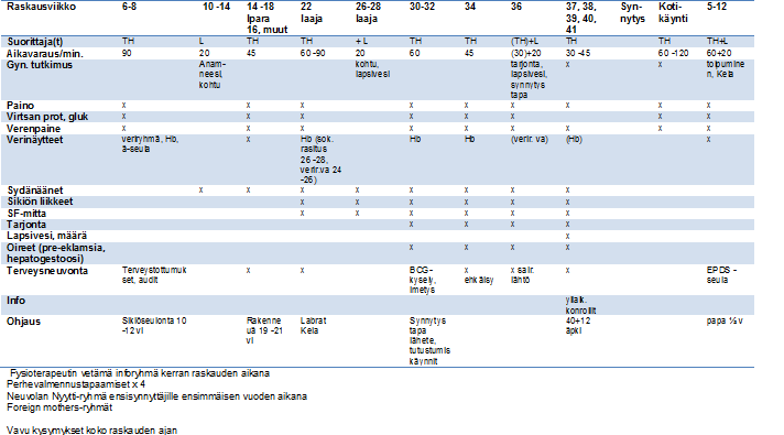 LIITE 1, Äitiysneuvolan