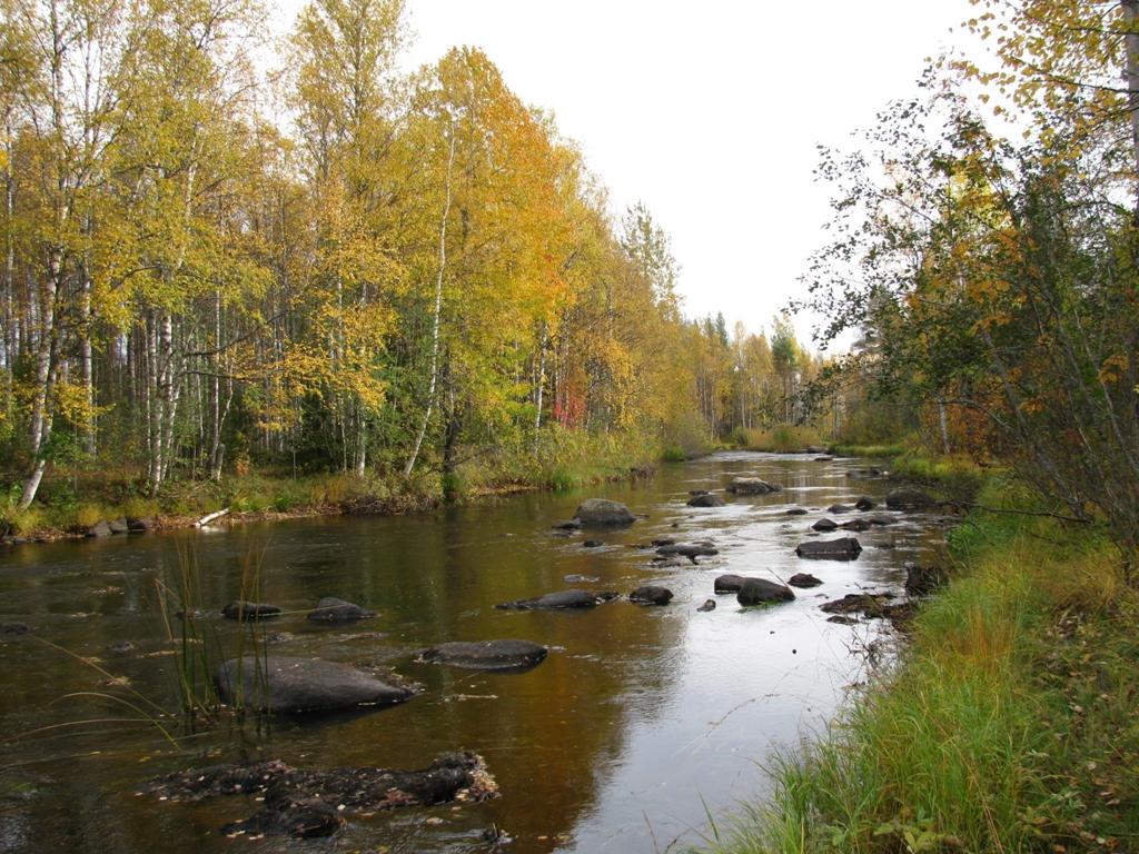 kg 18.10.2012 Kiitos! Kuormituslaskelmat, alustavia tuloksia Esimerkkejä: Laskettu vuorokausikuormana virtaamaa käyttäen Luonnontilainen suo: valumaalue n. 317 ha Vanha metsäojitus: valumaalue n.