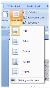 sarakkeita- toiminnon kautta Lisää sarakkeita valinnan kautta aukeaa seuraava ikkuna.