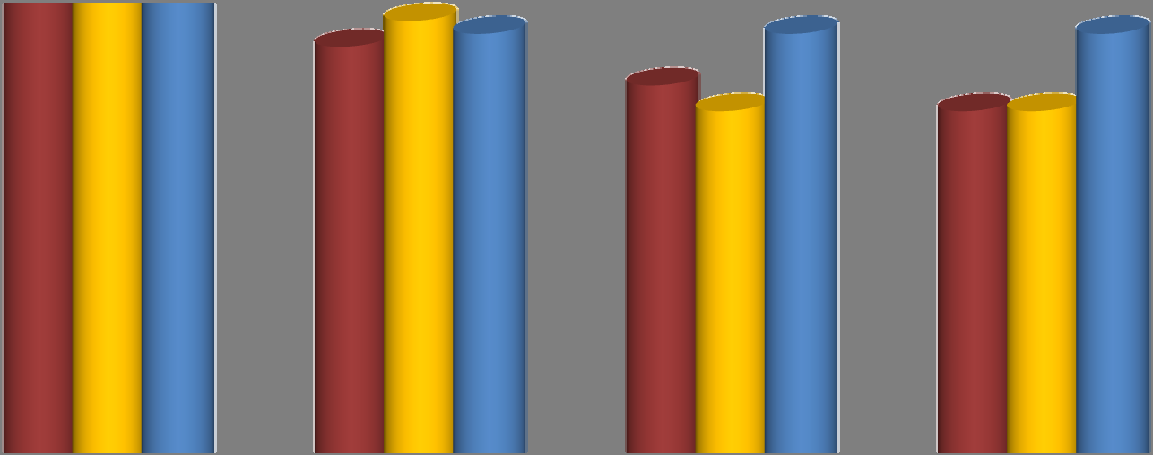 Kuitinmäen koululaisten arviointi hankkeesta Kuitinmäen 9- luokkalaisille tehtiin kysely keväällä 2009 (Mäkelä A. & Maijala A.