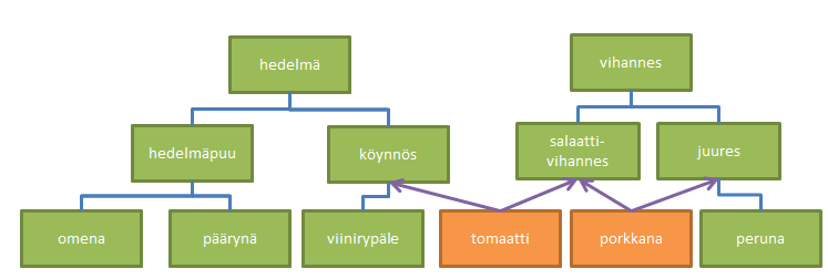 Poikkeuksena on ylimmän tason termi (top-level term), jolloin sillä ei ole laajempaa termiä, tai pohjatason termi (bottom-level term), jolloin sillä ei ole enää suppeampia termejä.