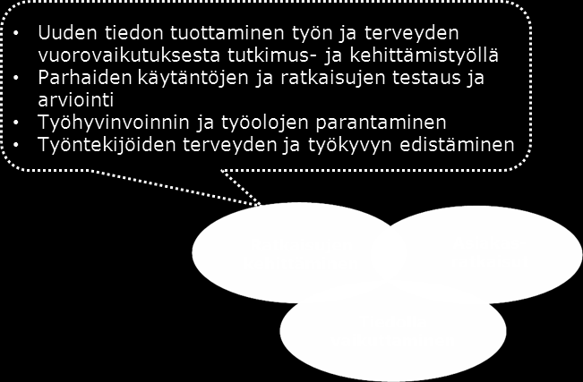 23 (45) 3.1 Ratkaisujen kehittäminen Kuva 12. Ratkaisujen kehittämisen toiminta-alue. Ratkaisujen kehittämisen toiminta-alue johtaa laitoksen T&K&I-toimintaa. Toimintaalue jakautuu yhdeksään teemaan.