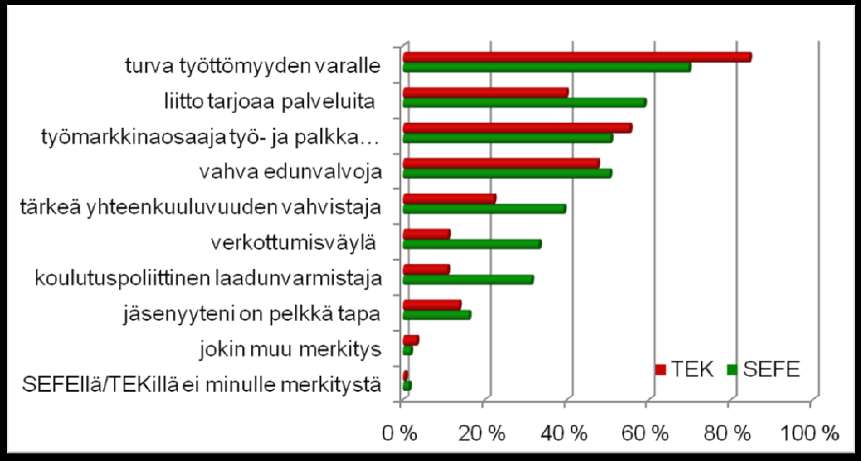 SEFEn ja TEKin merkitys