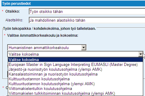 6. Kirjoita tallennuslomakkeelle pyydetyt tiedot. Oma nimesi tulee suoraan kirjautumistiedoista, mutta tarkista nimitiedot, lisää muut tiedot sekä mahdolliset muut tekijät.