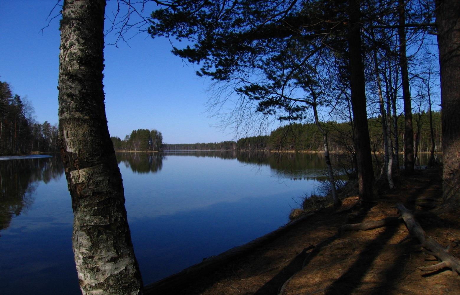 Yhdistyksen perustamisen vauhdittajana oli huolestuminen alueen järvien tilasta ja kauniin luonnon säilymisestä.