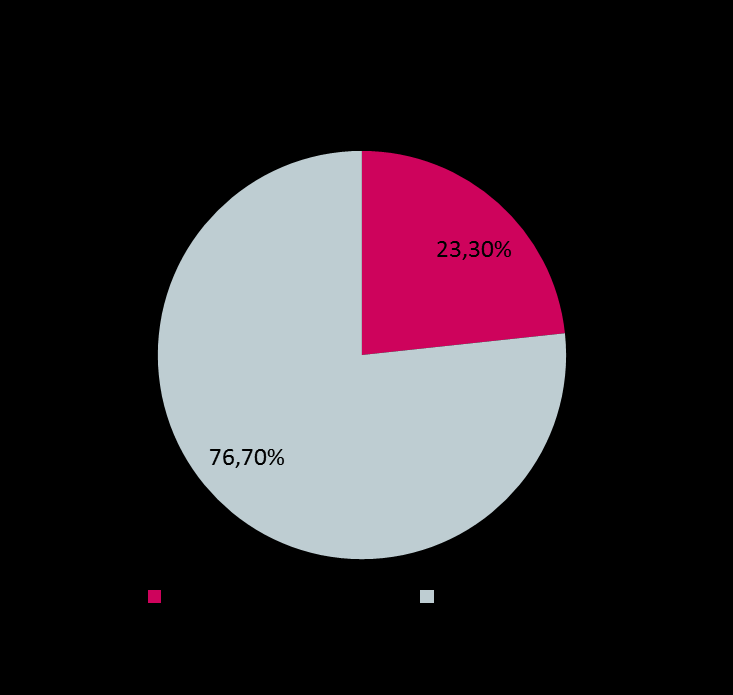 Omistus Vuoden 2012 lopussa yhtiön markkina-arvo oli 840,1 milj.