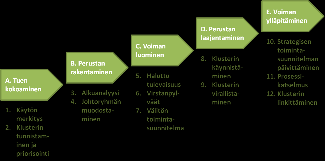 Vaiheet ovat tuen kokoaminen, perustan rakentaminen, voiman luominen, perustan laajentaminen ja voiman ylläpitäminen. Ne voidaan vielä jakaa kahteentoista askeleeseen (kuva 4). (Ffowcs-Williams, 2004.