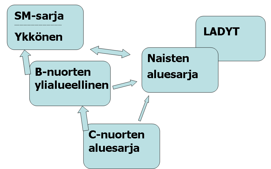 Aikuisten liikunnan muut tuotteet Kilpailutoiminta Keväällä 2008 SM-kehitystyöryhmä saattoi päätökseen sarjauudistustyön, joka vaikutti suuresti ringeten aikuisten ja vanhimpien juniori-ikäluokkien