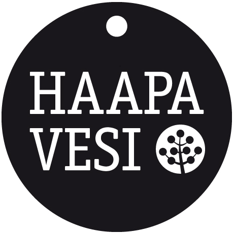 HAAPAVEDEN KAUPUNKI TALOUSARVIO 2015 JA TALOUSSUUNNITELMA 2016 2017