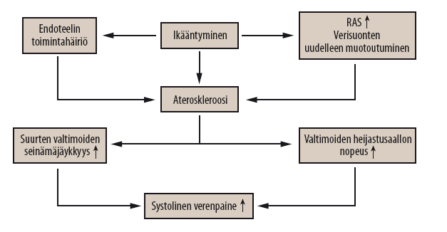 AINEISTO Iäkkään verenpainepotilaan hoito Yli 65-vuotiaiden osuus väestöstä lisääntyy varsinkin kehittyneissä maissa (Population Institute 2006).