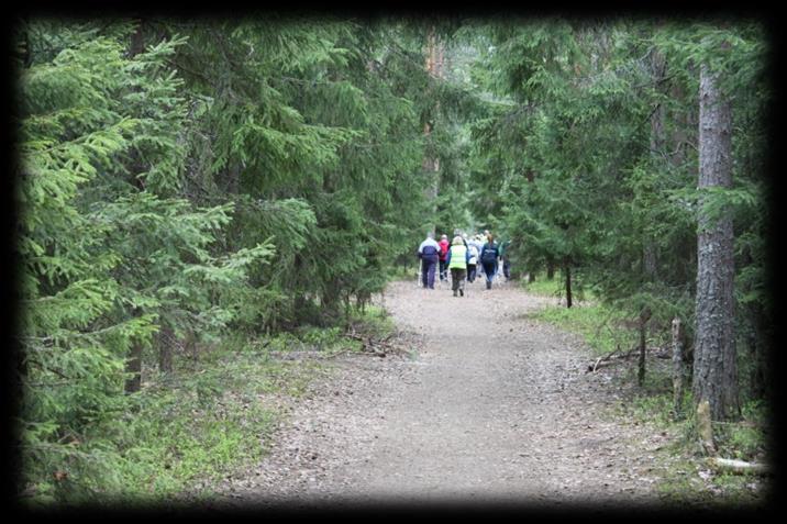 Vihdin Vitonen 5.9.2015 Vihdin Vitonen on maksuton perheliikuntatapahtuma, joka järjestetään viidennen kerran 5.9.2015 klo 10.00 alkaen.