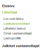 Lähettäjän lisätiedoissa voit esimerkiksi lisätä muita pankkitilejä. Vastaanottajan lisätiedoissa on mahdollista syöttää tietoja kuten ALV- tunnus, Y-tunnus ja yhteystiedot.