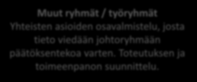 Oppilaitoksen Johtoryhmät ja yksikköpalaverit POINT:in johtoryhmä POINT ohjelman ja strategian toteuttaminen. Oppilaitoksen kehittämisen koordinointi. Vuosikellon asioiden valmistelu.