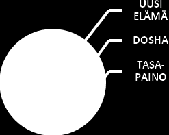 8 4. PRAKRUTI - PERUSOLEMUS Jokainen meistä koostuu yksilöllisestä Doshien yhdistelmästä. Tätä perusominaisuutta kutsutaan nimellä PRAKRUTI.