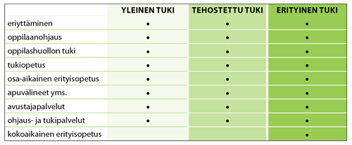 79 LIITE 19. Kolmiportaisen tuen malli esi- ja perusopetuksessa (yleinen, tehostettu ja erityinen tuki) Kolmiportaisen tuen mallissa korostuvat suunnitelmallisuus, joustavuus ja jatkuvuus.